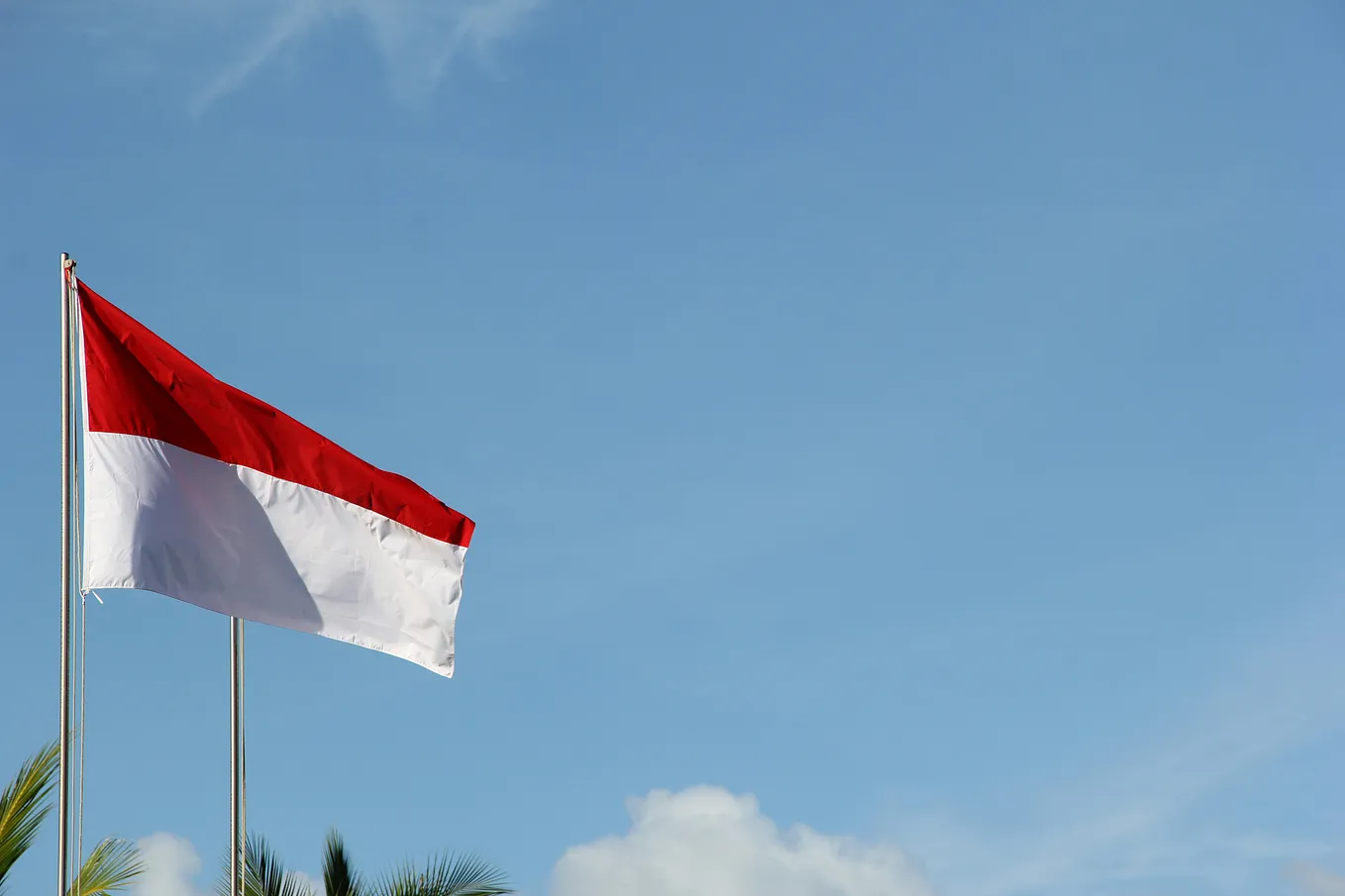 Independence Day: A Different Year for Indonesia