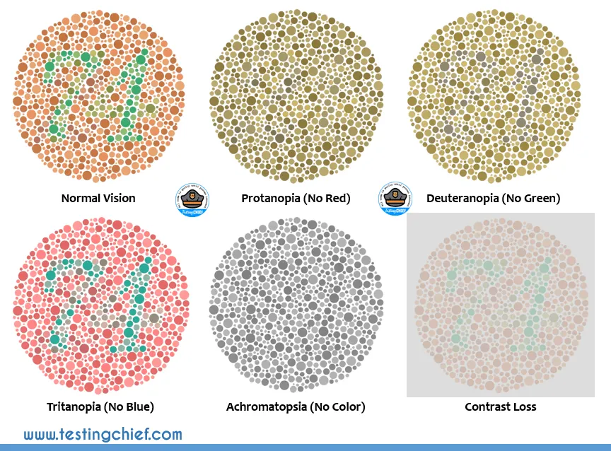 Color Contrast Testing