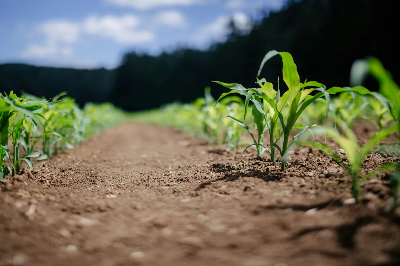 Modern Agriculture