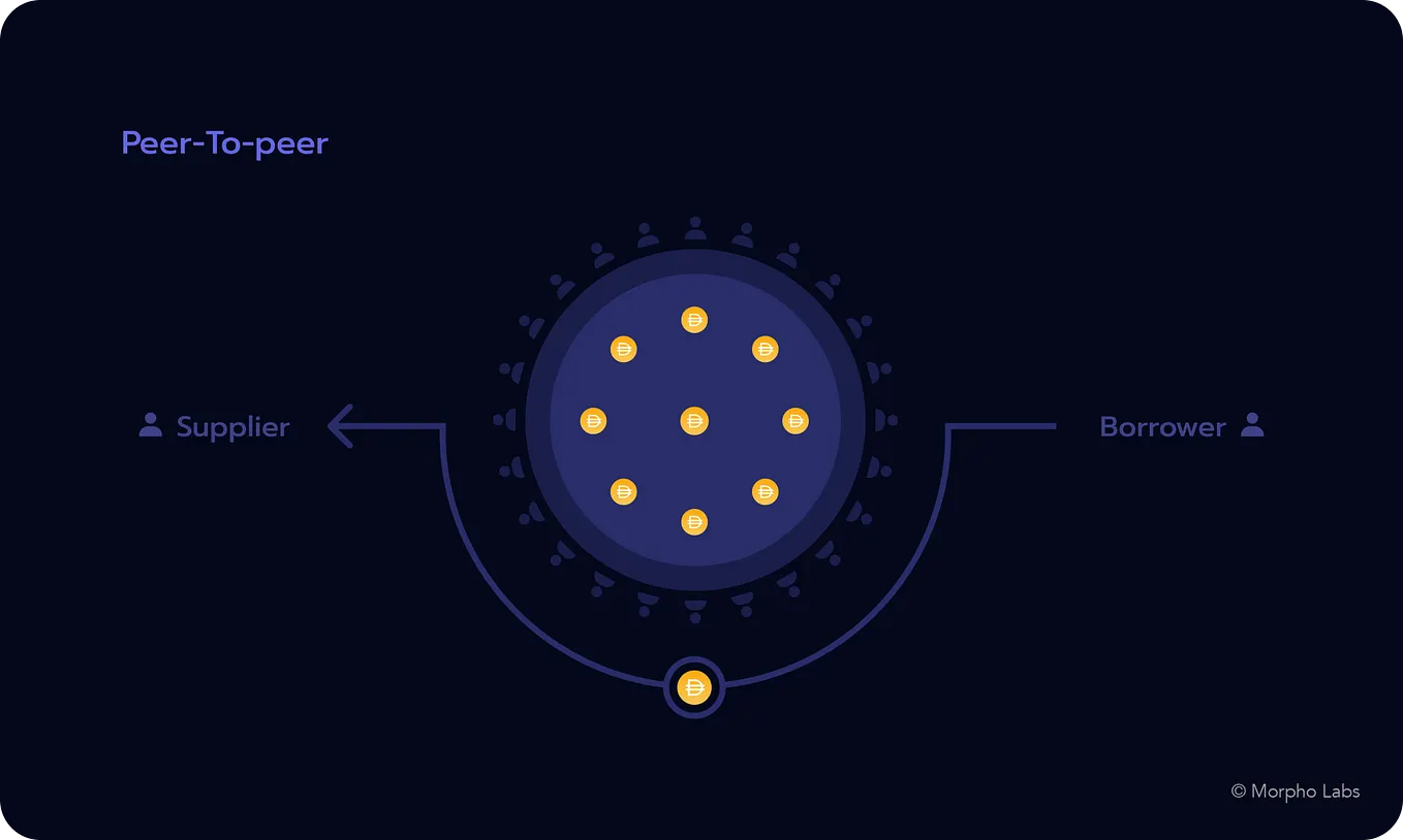 Introducing Morpho 🦋. Hi everyone! We are Morpho Labs, a… | by Paul  Frambot | Morpho | Medium