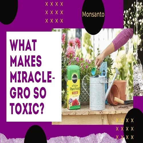 Miracle-Gro Is Toxic in More Ways Than One — Simple Urban Gardening