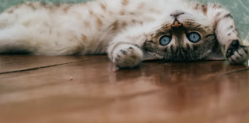 The 9-Step Video Blueprint that Sells Like Nothing Under the Sun — Part 1