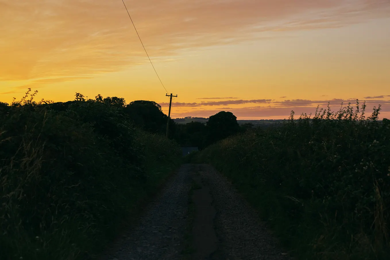 The Lone Path Home: A Sequel. Letters from The Lone Path Home | by ૐ ...