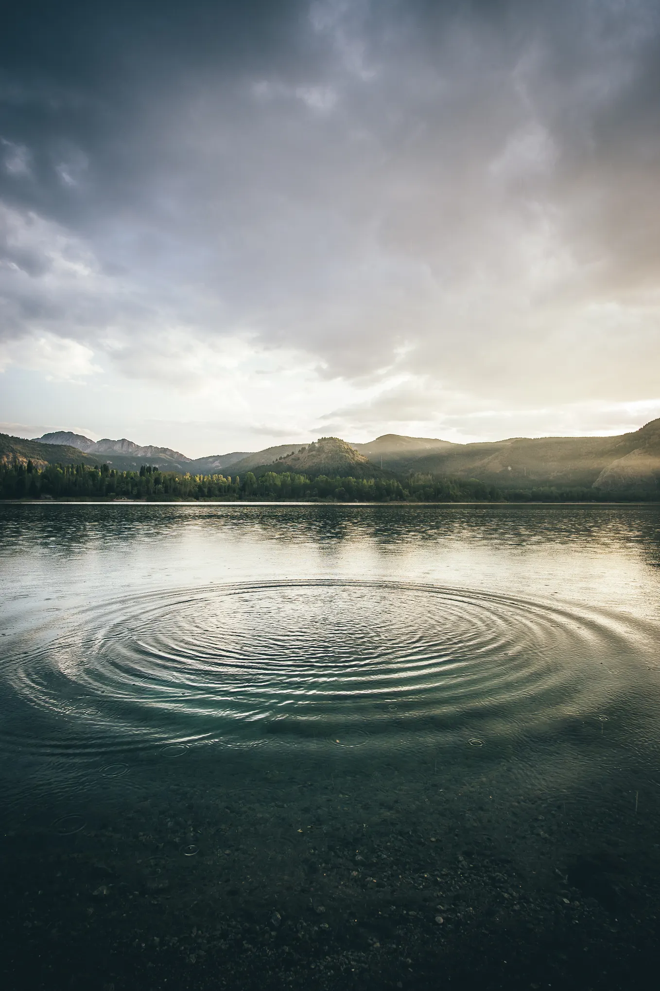 Generating reports with html2pdf-jspdf2 in React | by Samuel Hartley ...