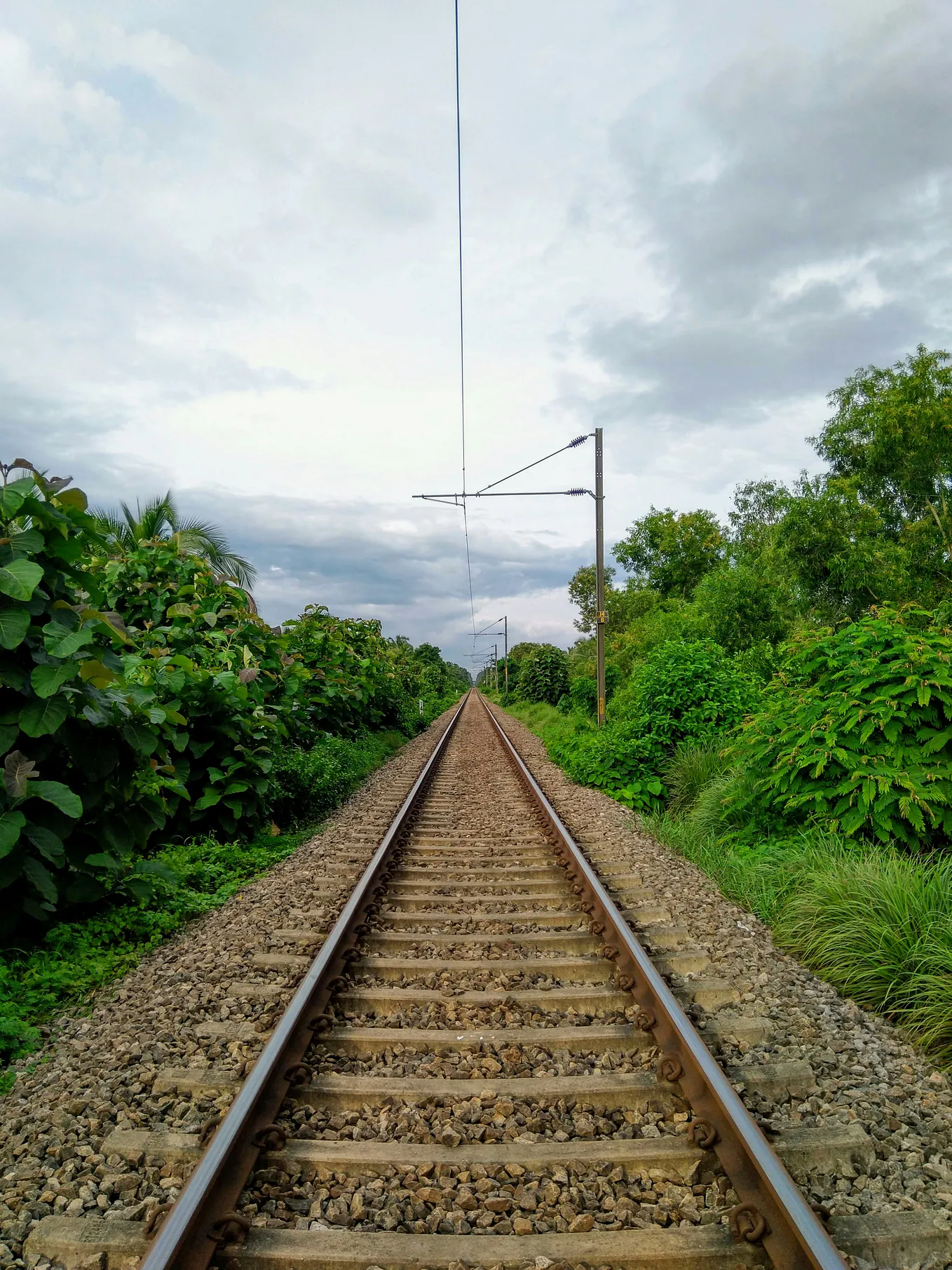 Most Scenic Train Journeys in South India