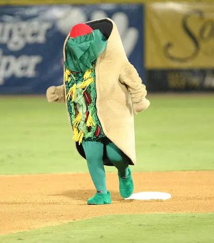 puffy taco.jpg