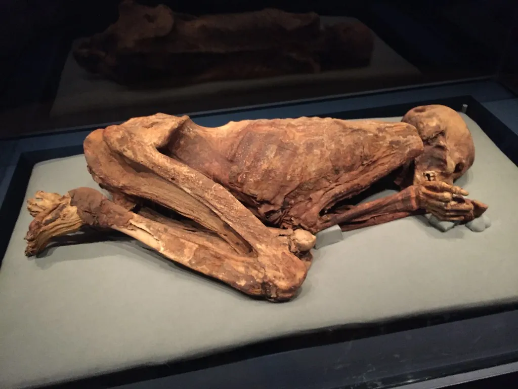 Gebelein Predynastic Mummies