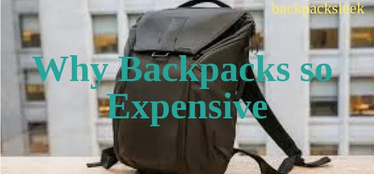 backpack face north Women's The North Face Borealix Luxe Backpack