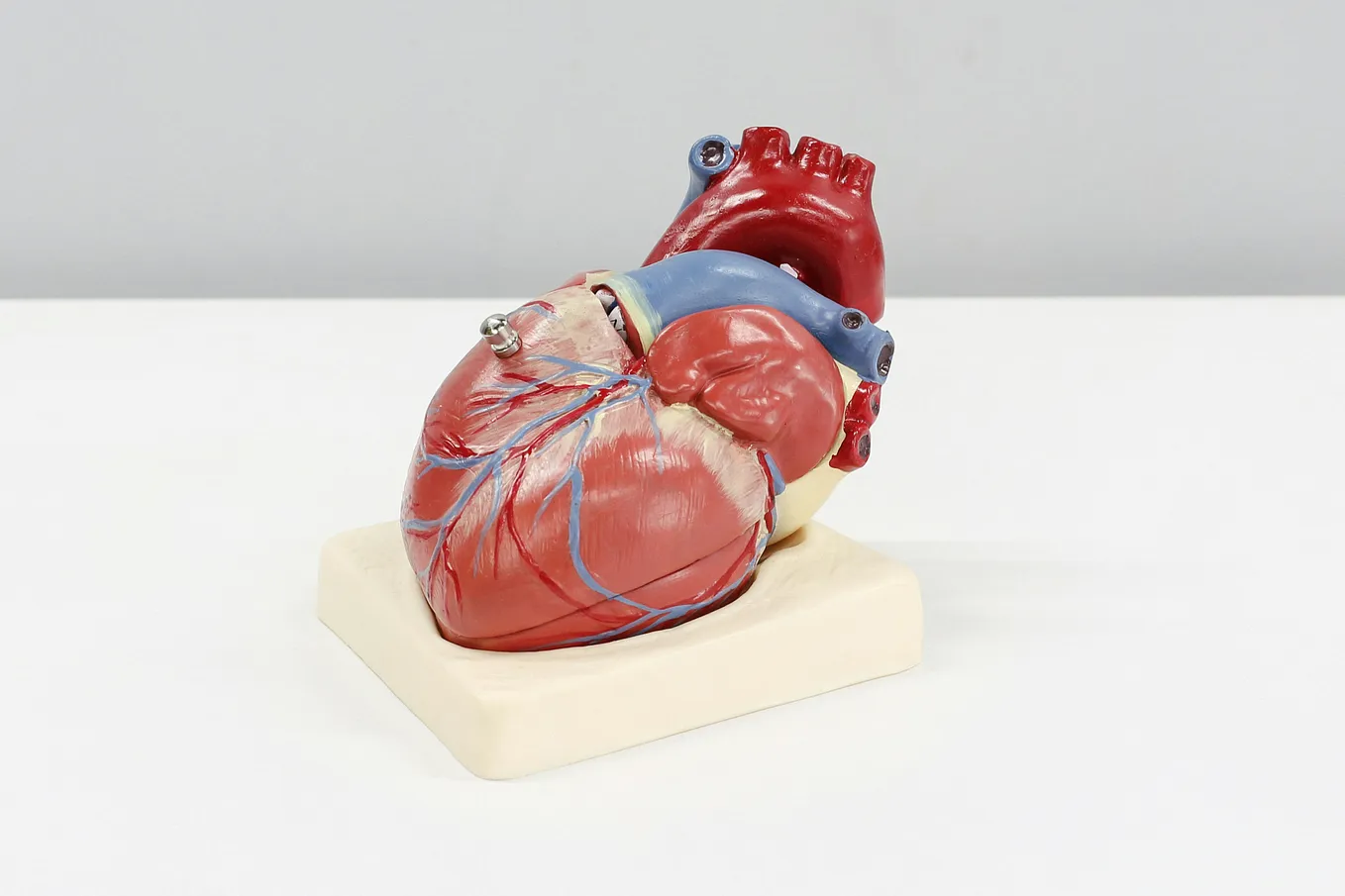 A human heart