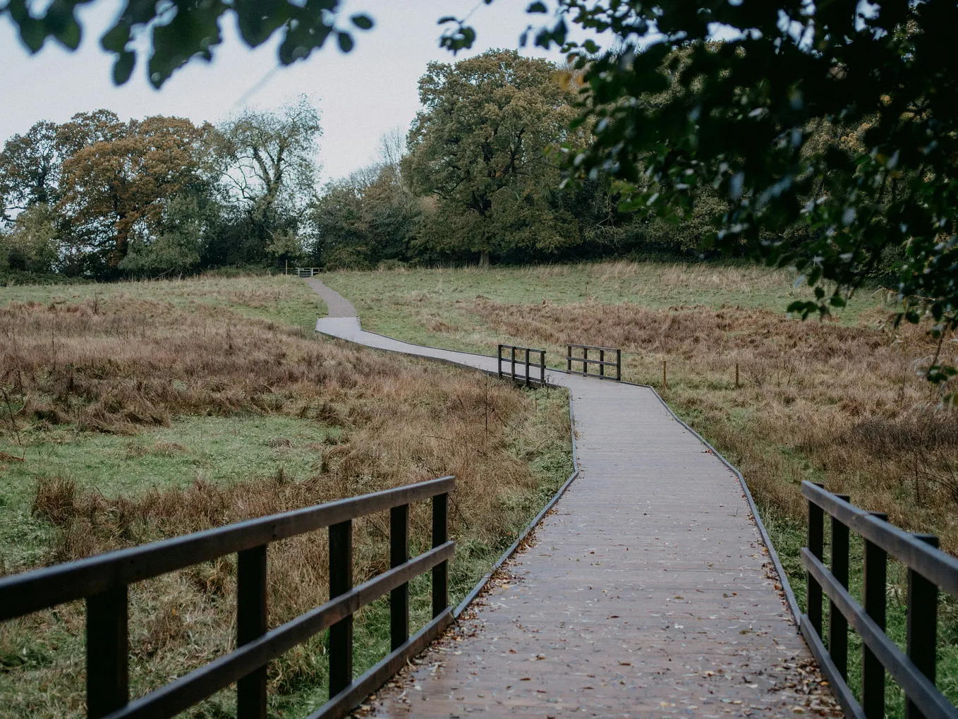 The Programming Language I Regretted Ignoring for Years | by ...