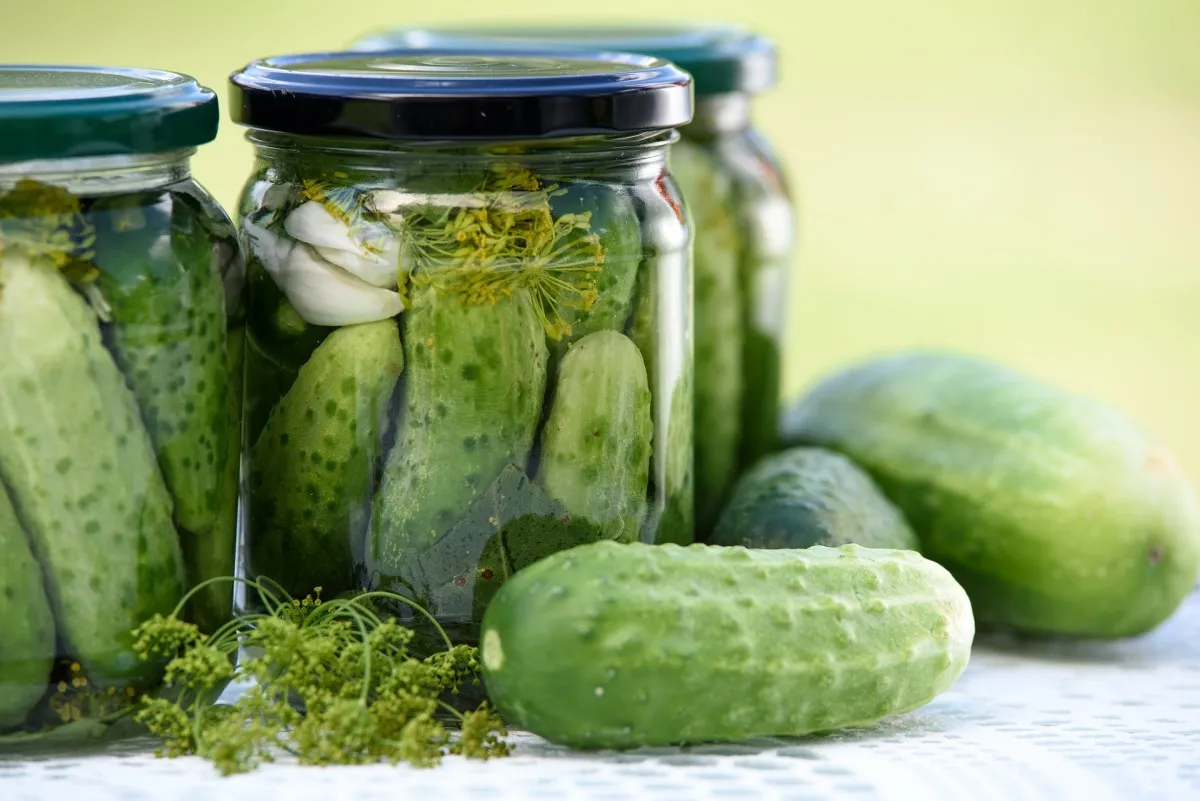 How to Grow, Brine, and Even Cook With Pickles