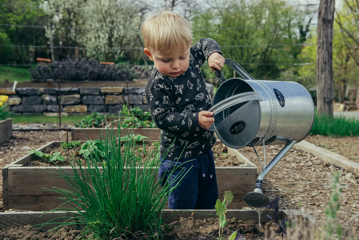 What You Water Quietly Grows