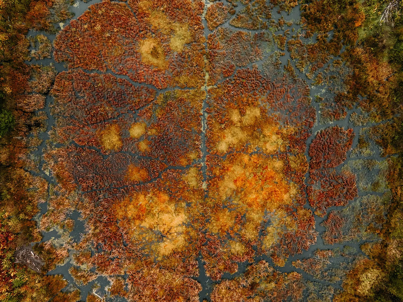 Understanding the Rust Iced GUI Application Architecture and ...