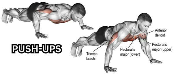 The Push-Up Plateau: Why You Need More Than Just Push-Ups to Build Strength