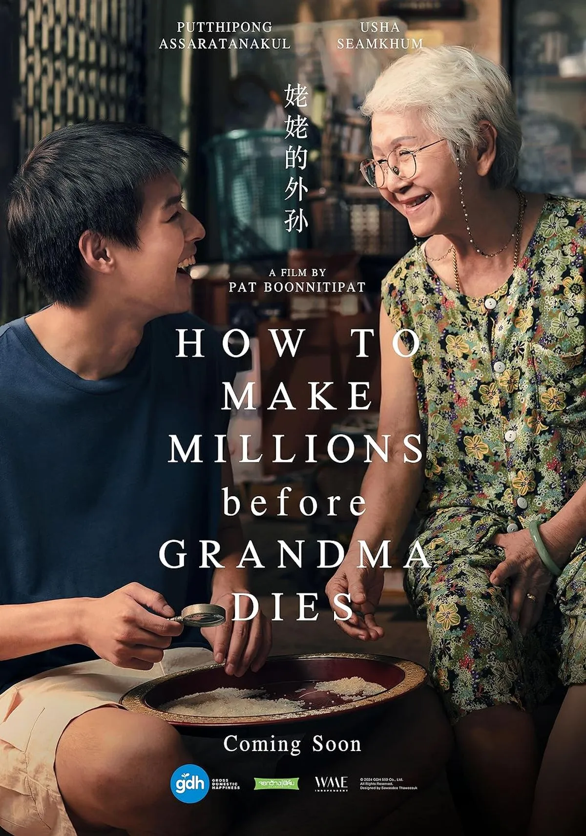 How To Make Millions Before Grandma Dies — A Profound Cinematic Journey Through Familial Bonds