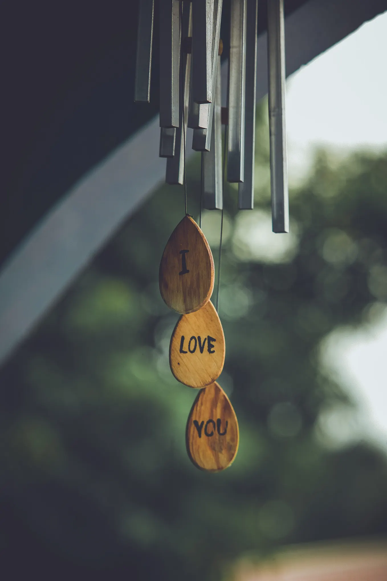 What is Love?