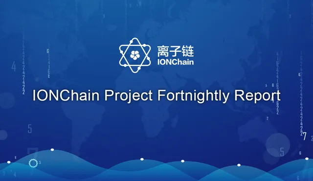 IONChain Project Fortnightly Report [02.03–02.23]