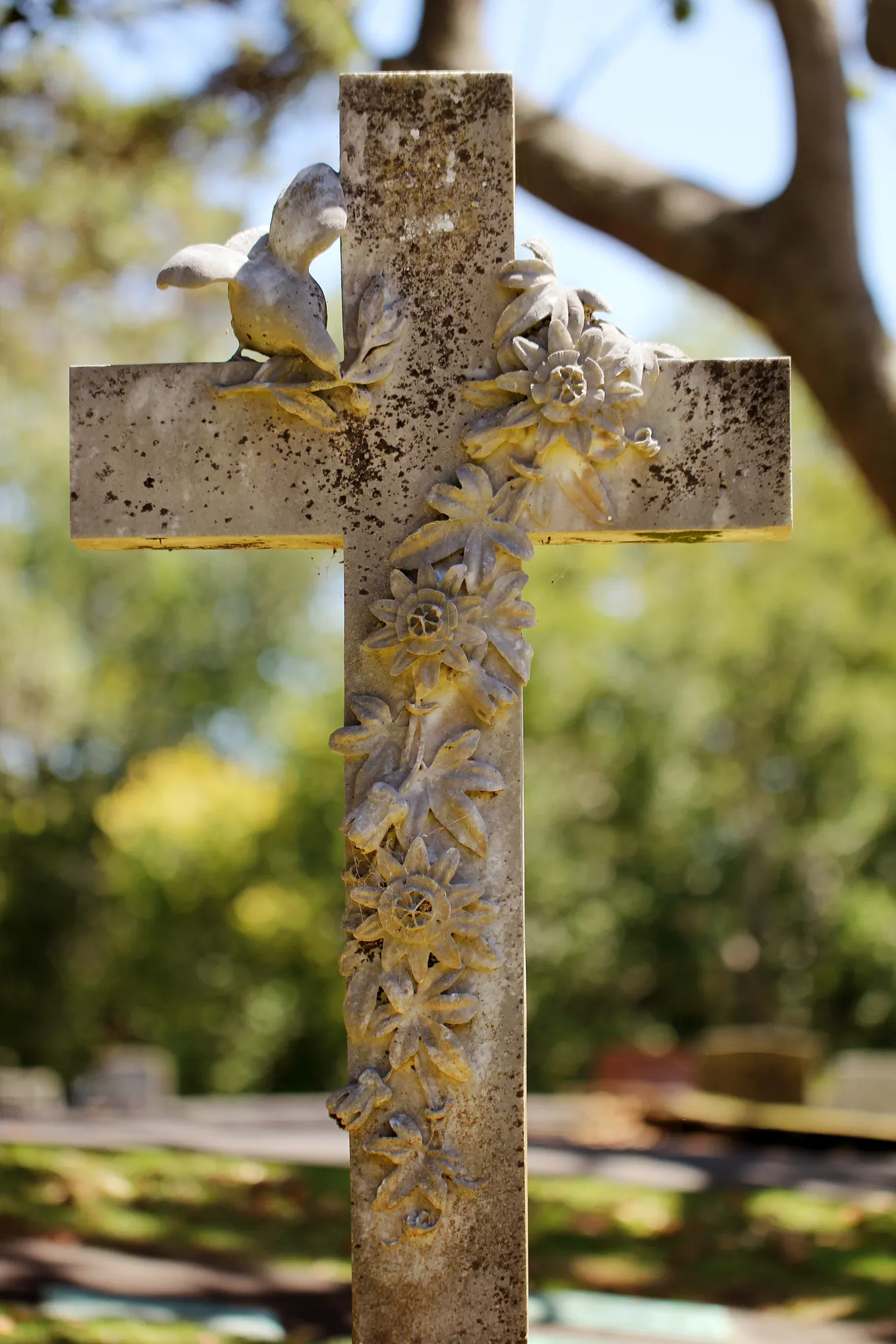 The Eulogy for My Mother