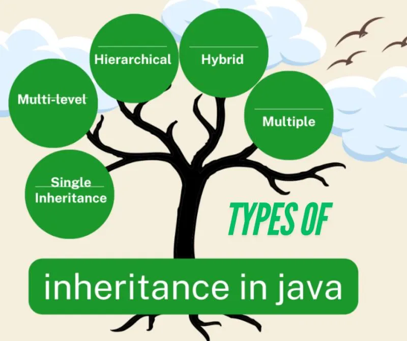 Hierarchical Inheritance in Java: A Comprehensive Guide | by ...