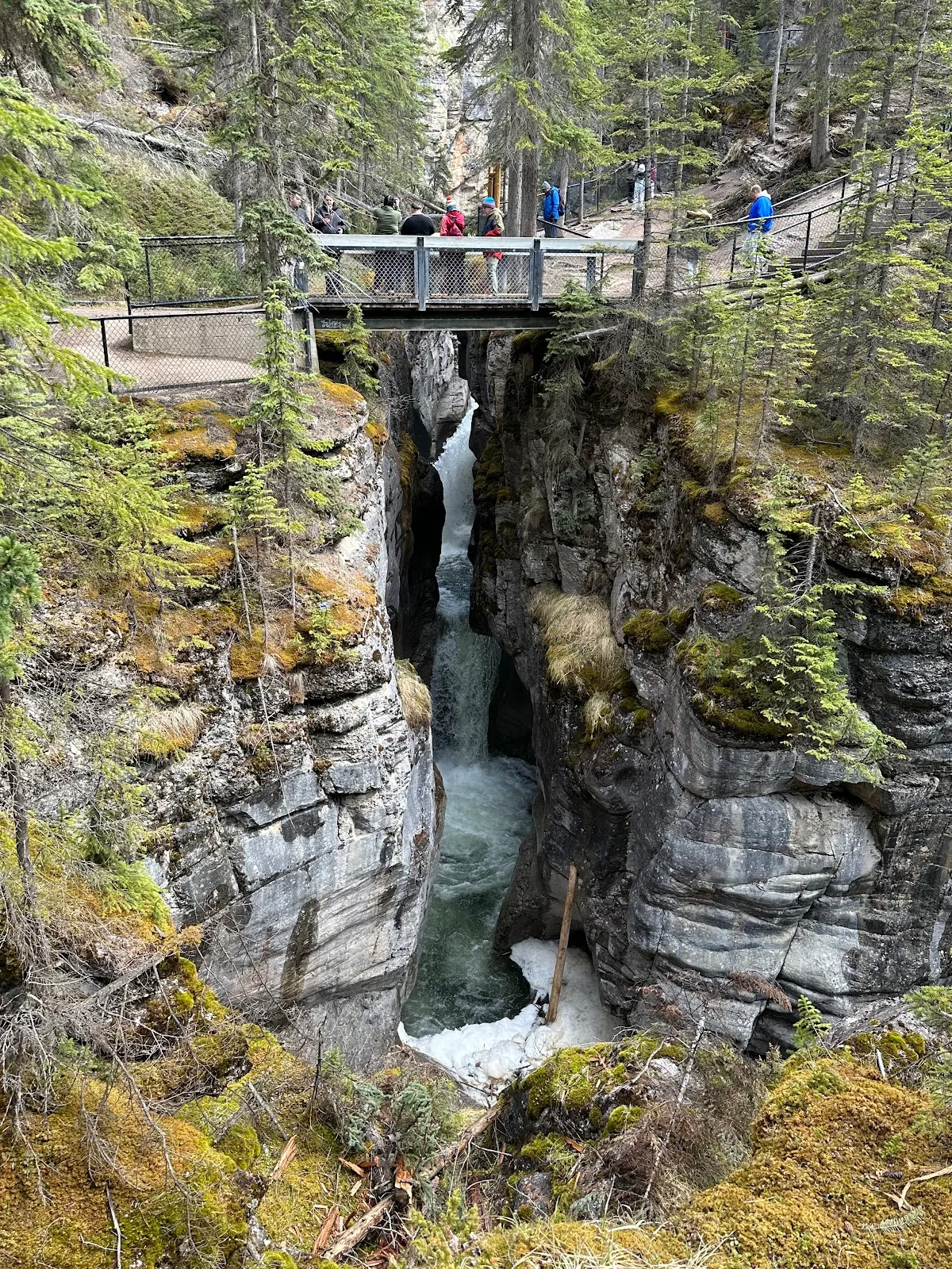 Canada calling — From Canyon Crisis to Scenic Bliss — Part 8