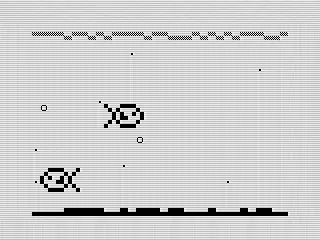 ZX81 Aquarium Makeover-Revamping Kimmie Fish in Assembly