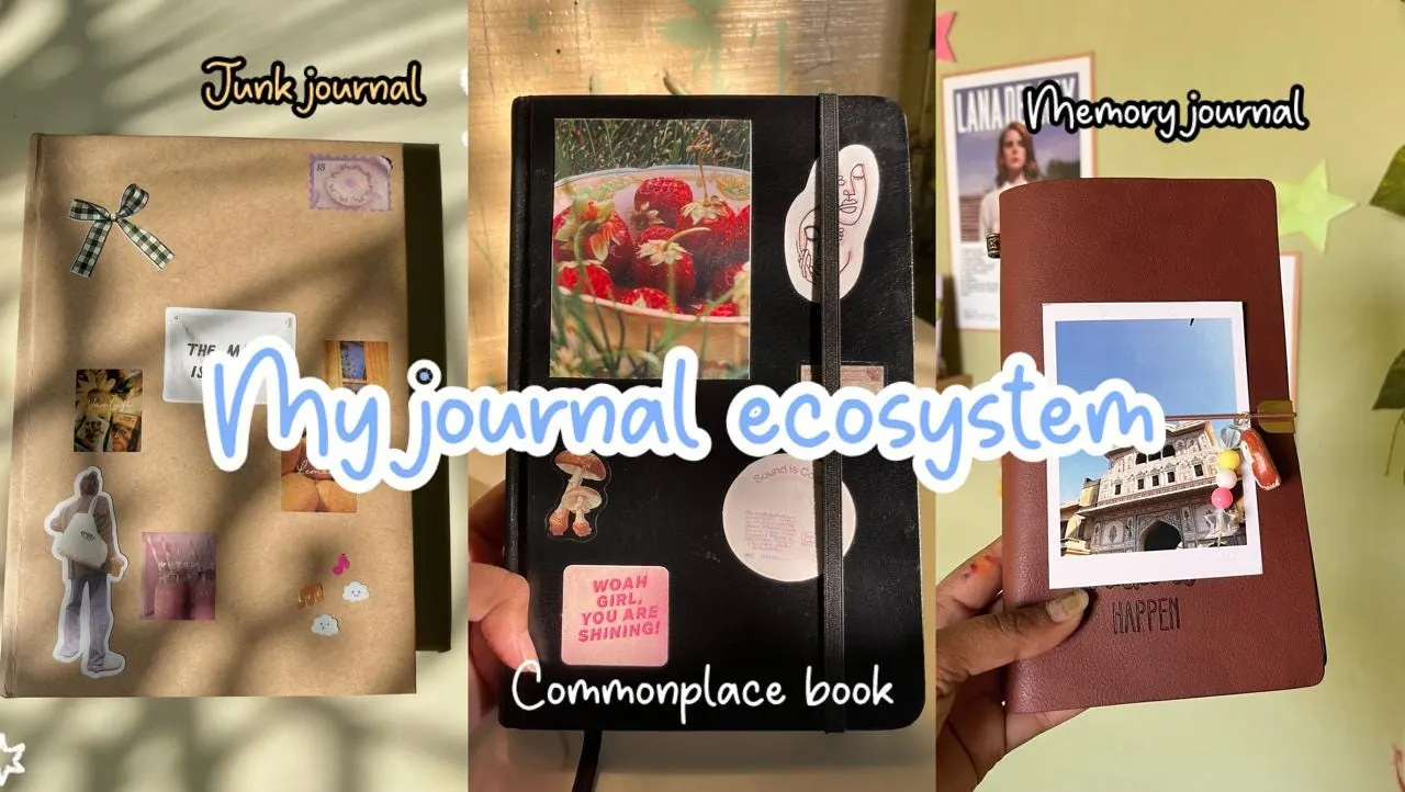 My journal ecosystem