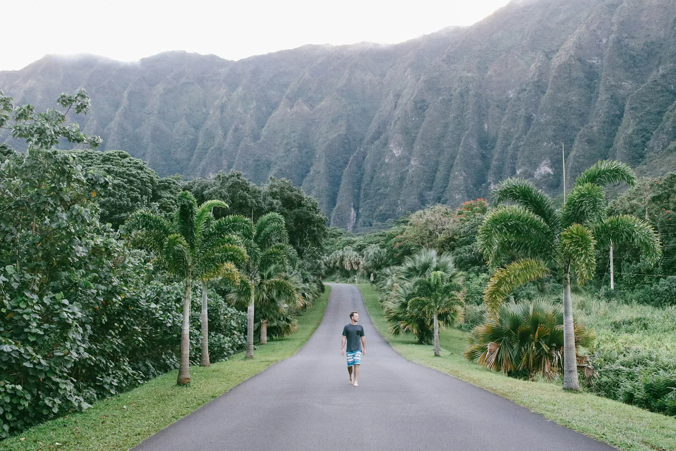 Walking Through the Valley