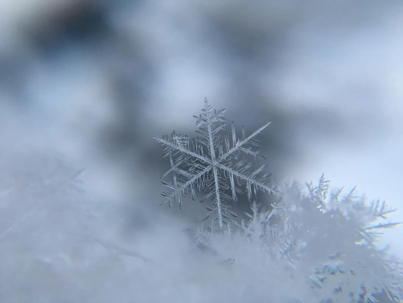 Frost on the window pane.