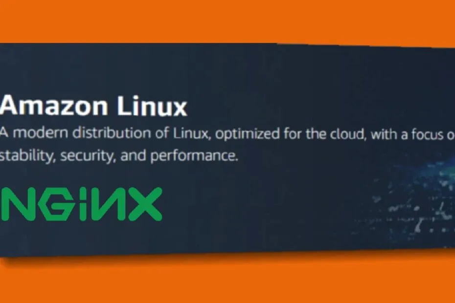 How to Install Nginx on an Amazon Linux 2 Instance — Developer Diary