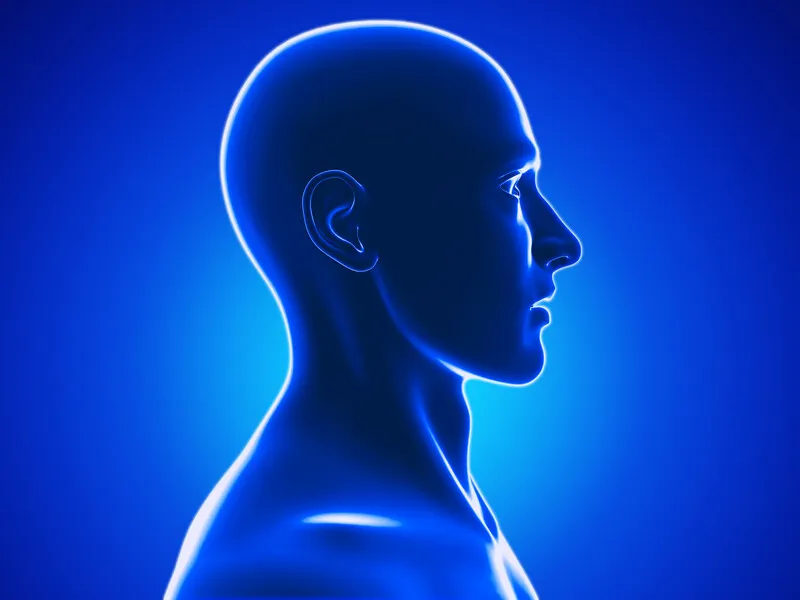 Why the Cost of a Human Head has Plummeted