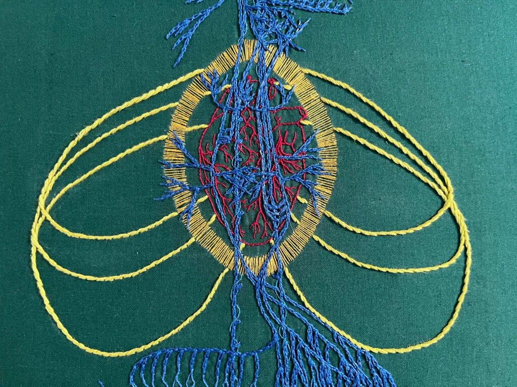 The upper chest area of a vagus nerve stitched in blue chain stitch on green cotton. An anatomical heart is stitched in two and one strand red whipped back stitch. Around it a bright golden yellow halo in a vesica piscis shape is stitched in single strand thread. From behind the heart emanate bright green/yellow stem stitch curved lines.