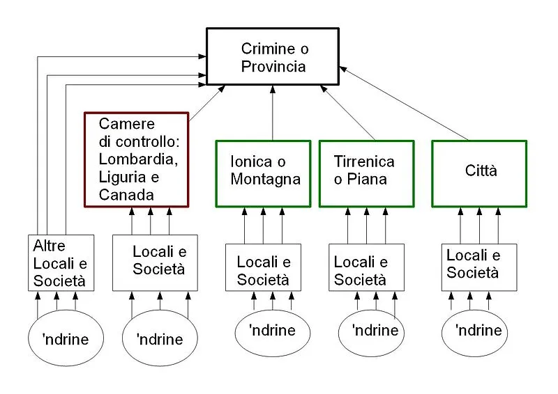 Structures and Organizational Orders in Different Mafia Groups