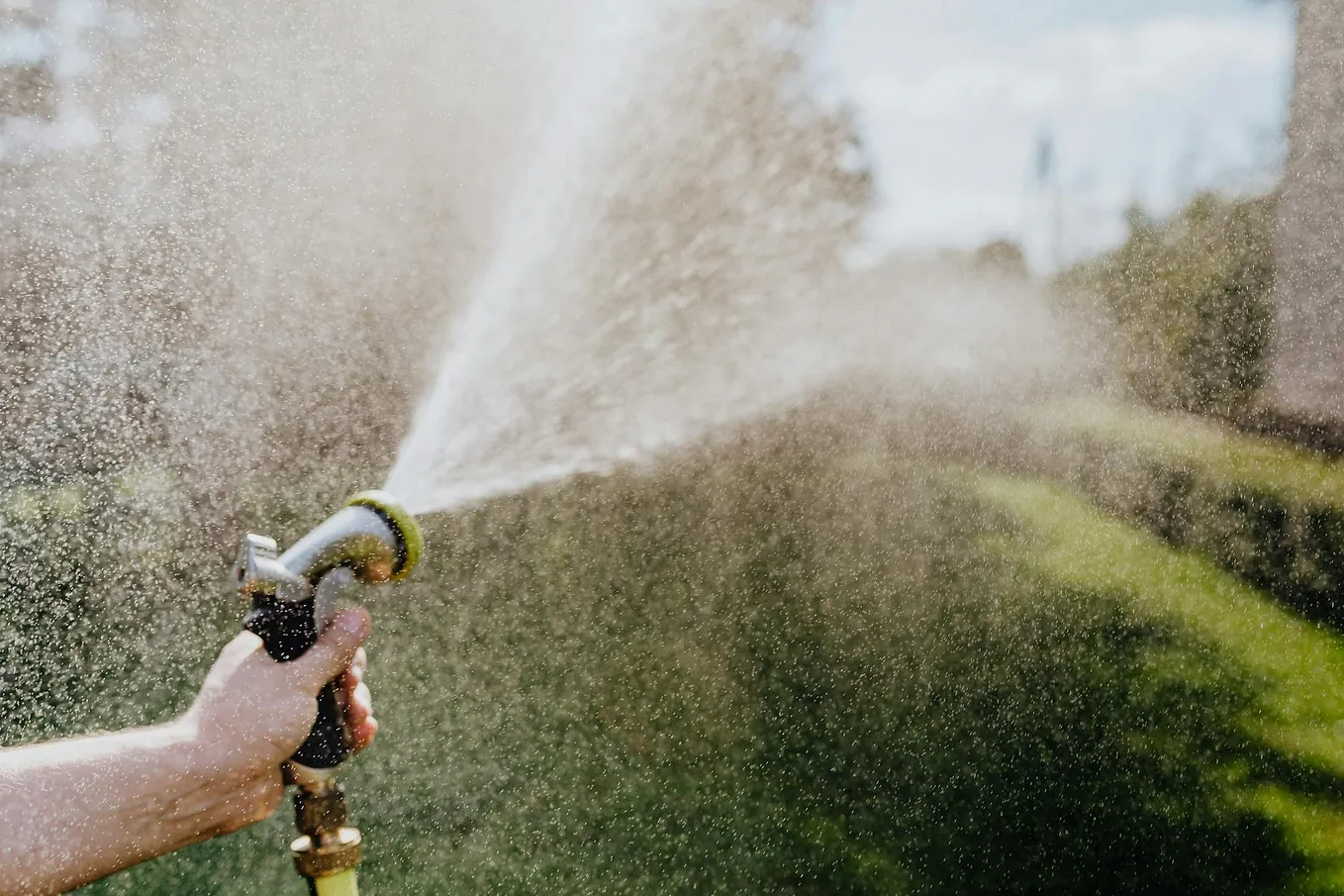 Signs of Over-Watering and Under-Watering: How to Know if Your Plants Are Getting the Right Amount…