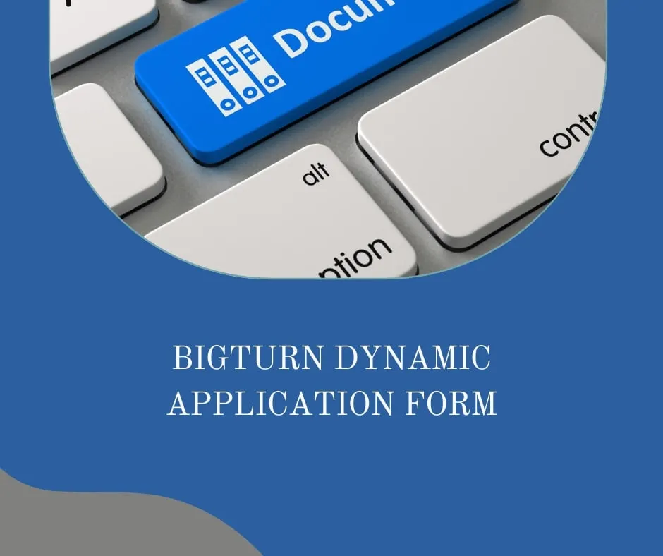 Bigturn Dynamic Application Form