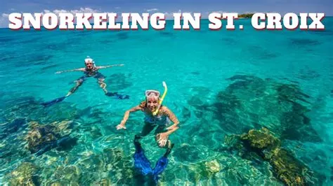 Top 5 St. Croix Snorkeling Spots: A Detailed Review If you’re hunting