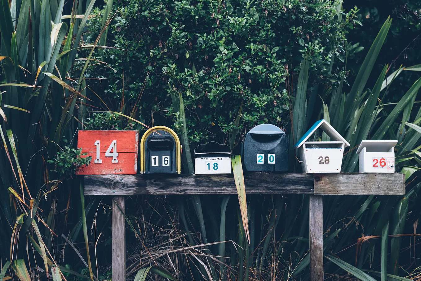 15 Top Email Newsletter Examples to Inspire Your Strategy [Cheat Sheet]