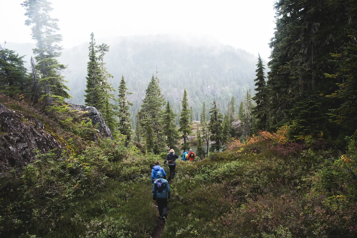 Why We Need Tribes and Why They Need Leaders (And Why It’s OK to be A Follower Too)— Tribes: We…