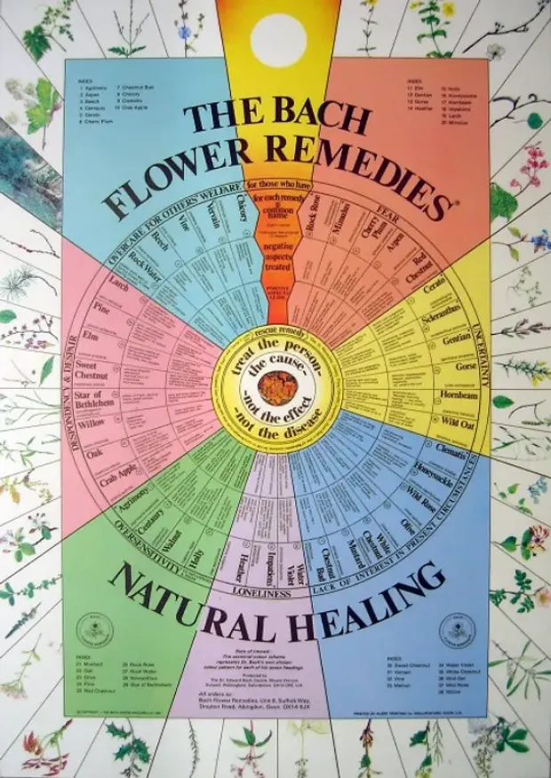 Chakras & Bach Flower Remedies in Chakra Order