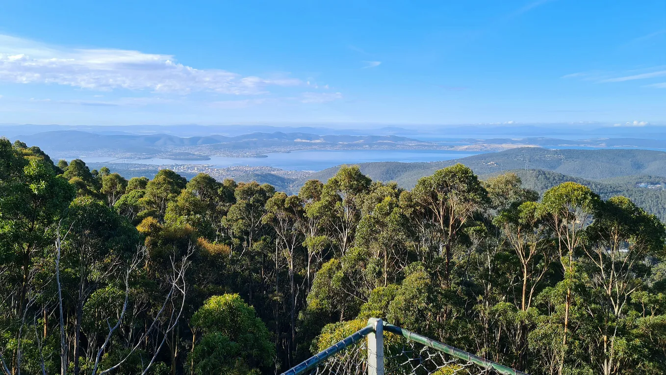 Bottom half of the picture is full of trees; the top half is a distant view of a river.