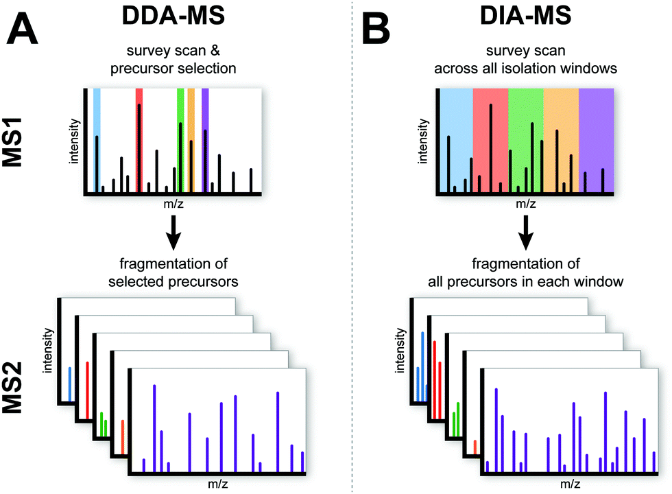 What are DIA and DDA and how does the data looks like ?