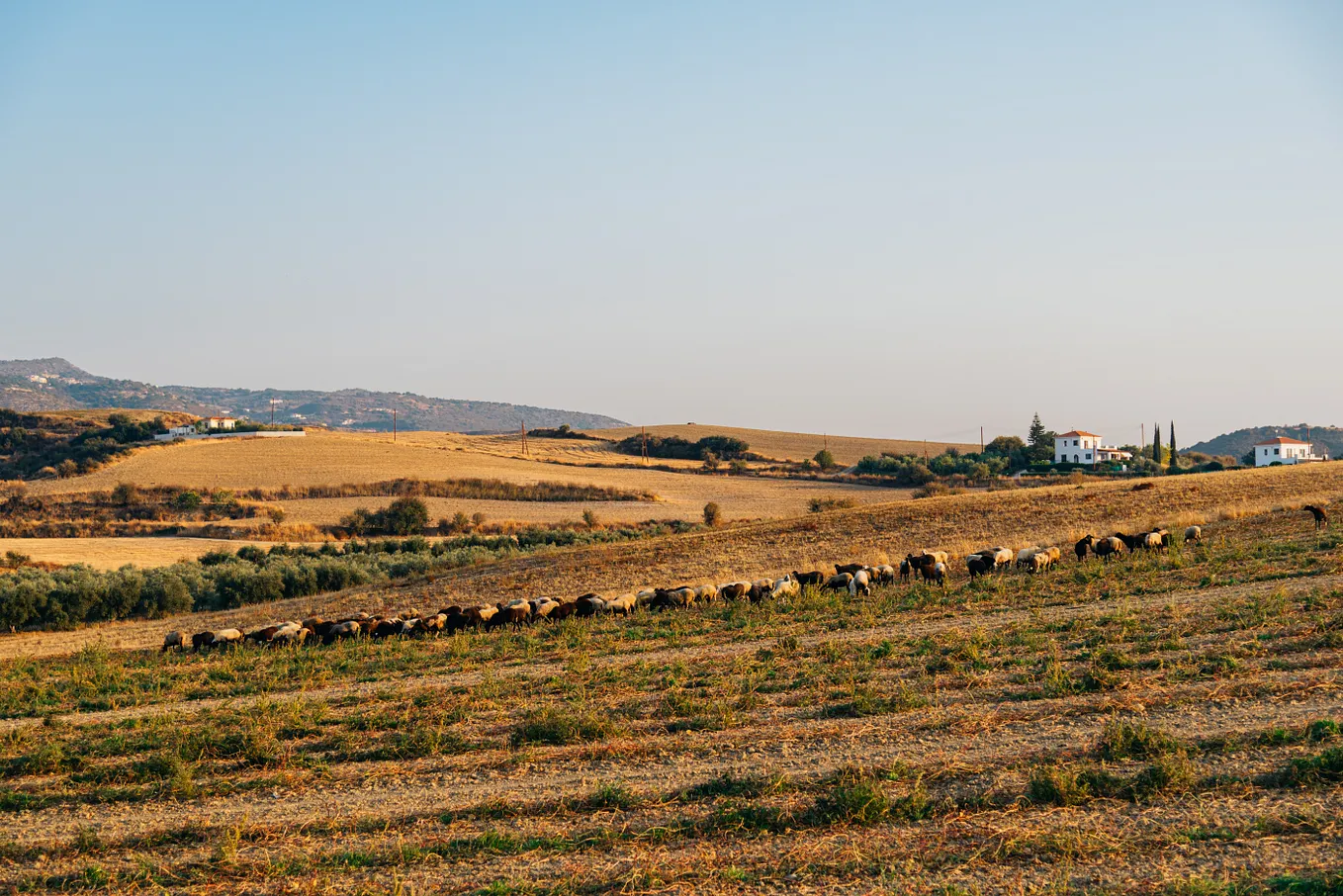 Πυργά Αμμοχώστου
