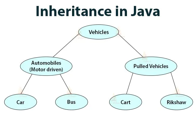 Java Inheritance with code example, quiz, code challenge | by Bezawit E ...