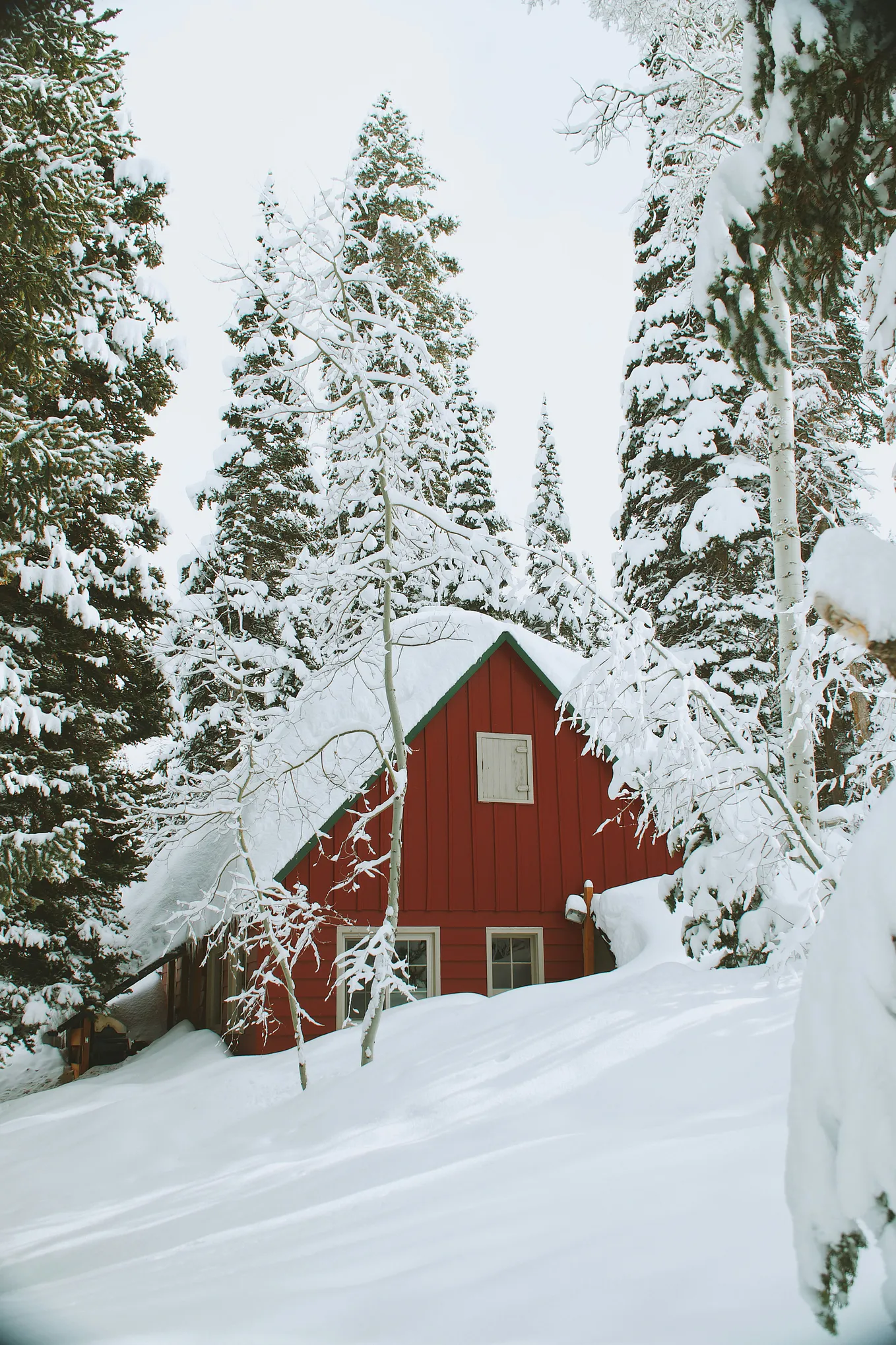 Cottage amid Winter’s whispers