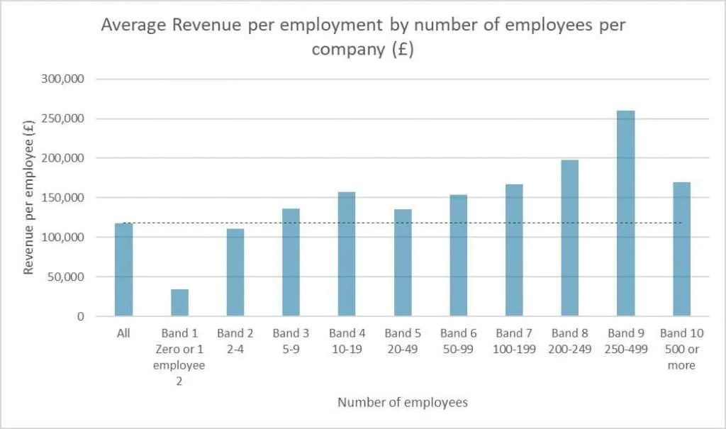 A Detailed Guide On Revenue Per Employee Benchmark