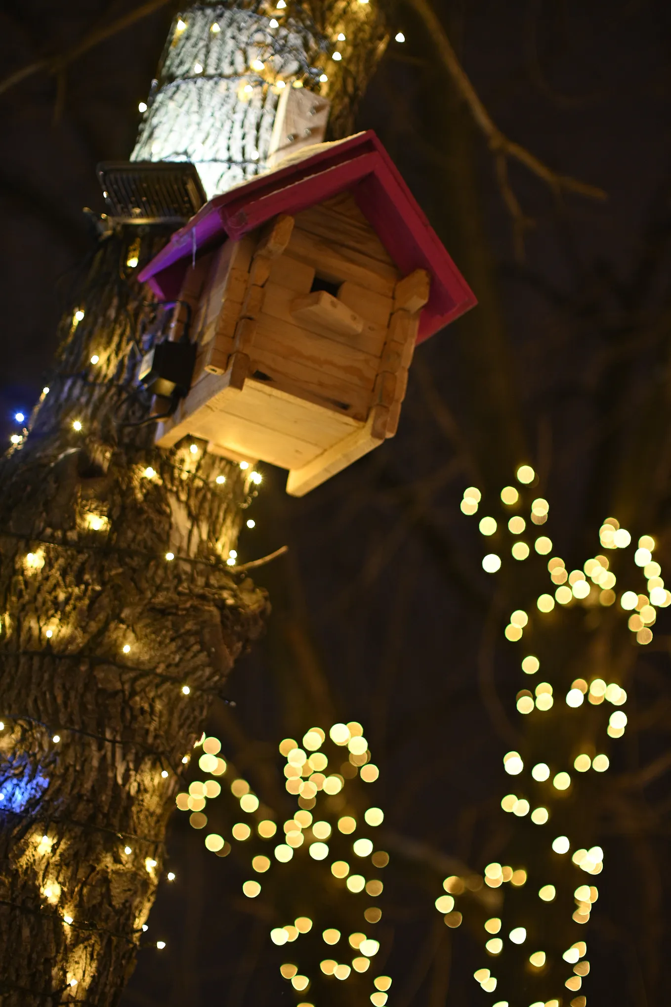 A red roof bird hut with decorative crystal light bulbs chained on trees in the dark.