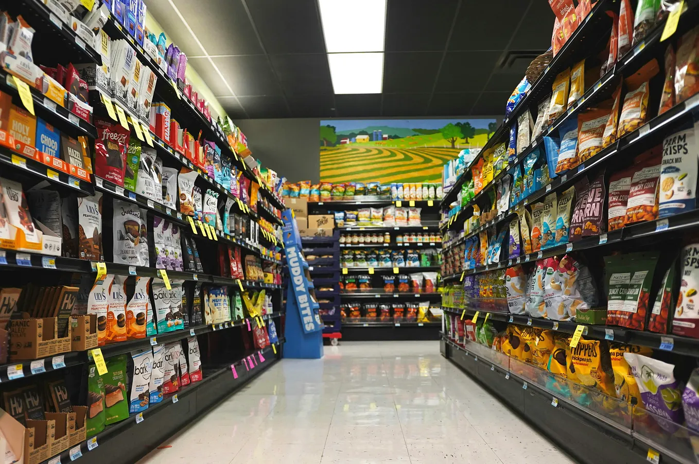 Pepsi Cut the Price of Doritos by 15%. Americans Still Didn’t Buy Them. That Should Worry You.