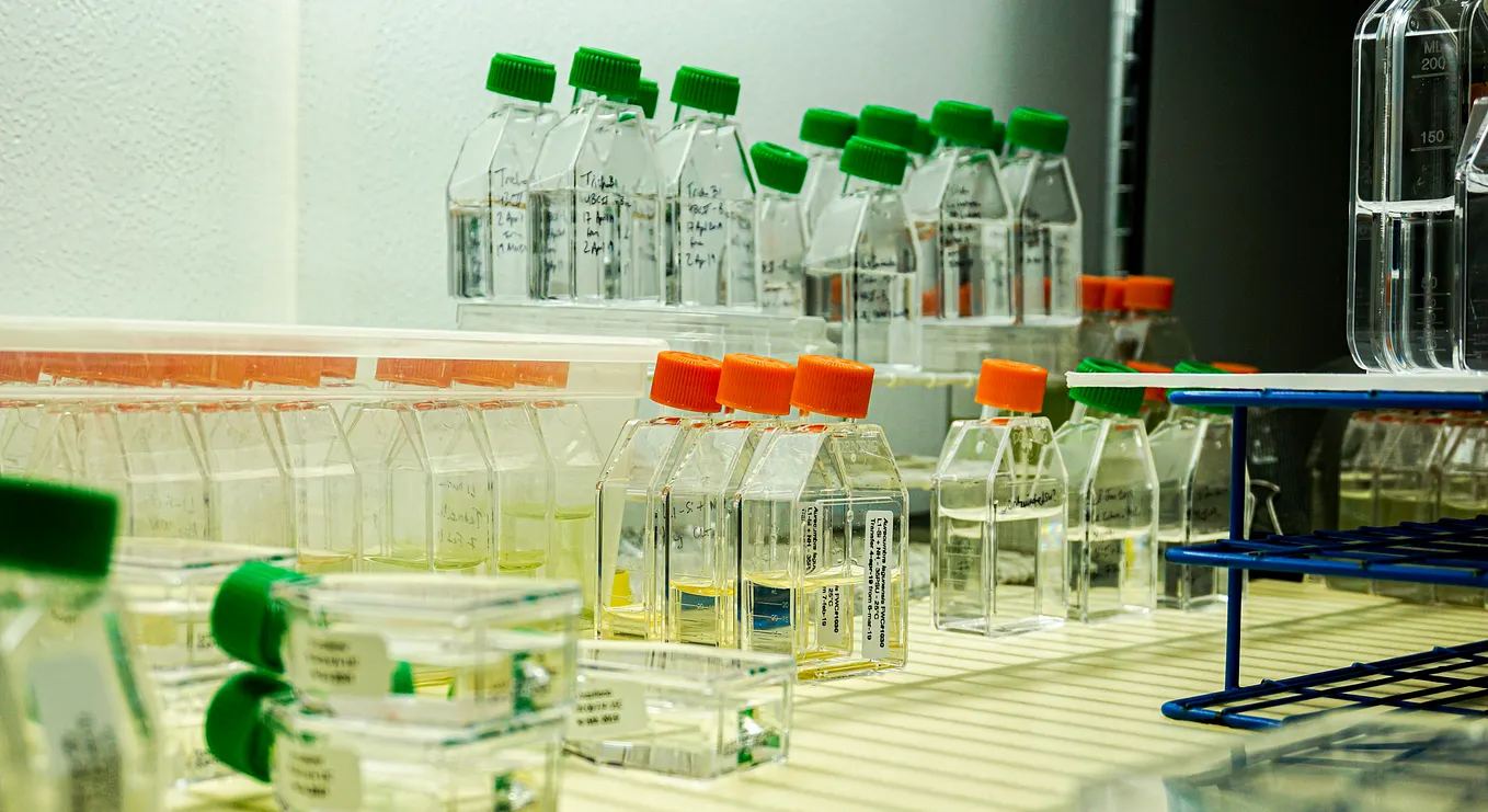Plastics in labs- recycling is not the solution