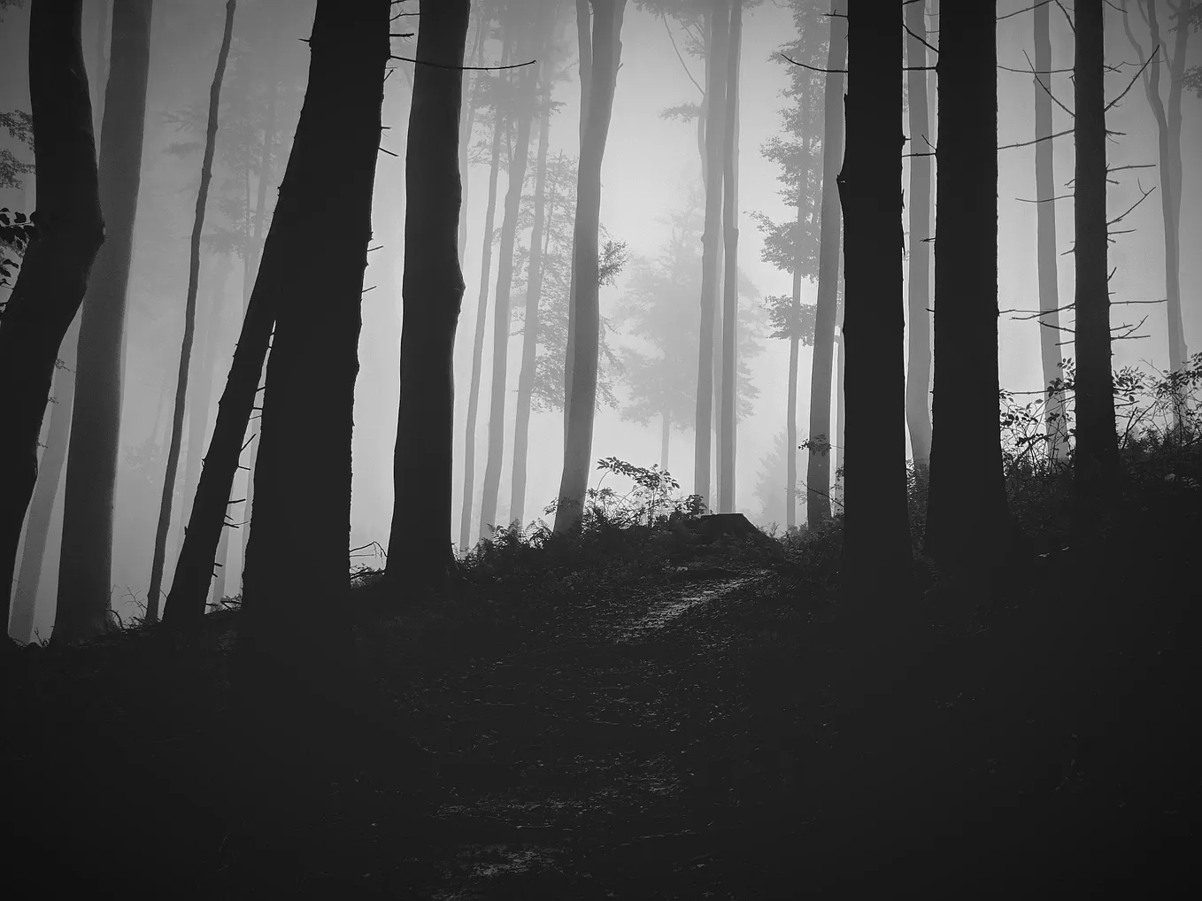 The Dark Side of Empathy