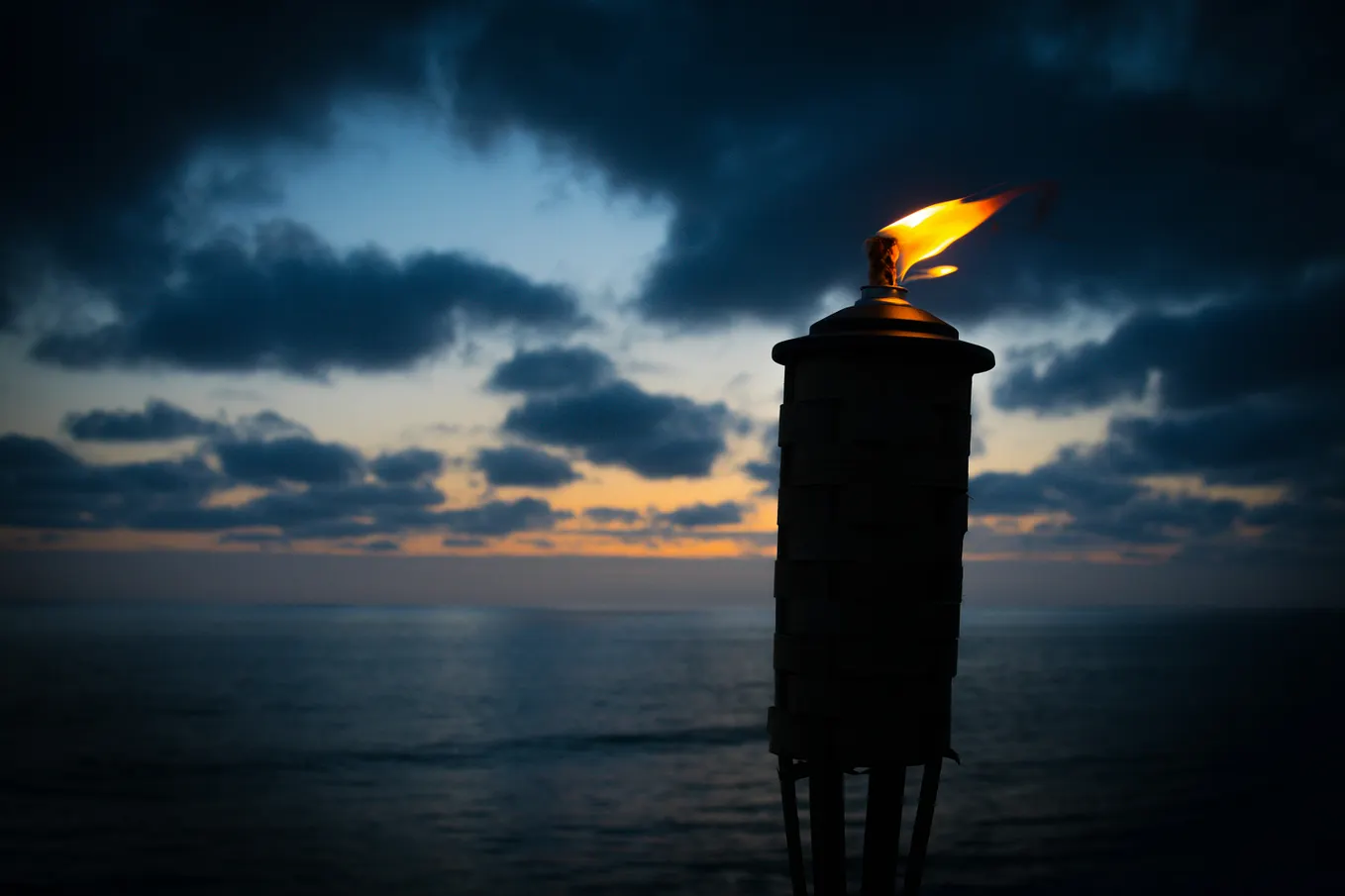 The Unvarnished Truth About Startup Life