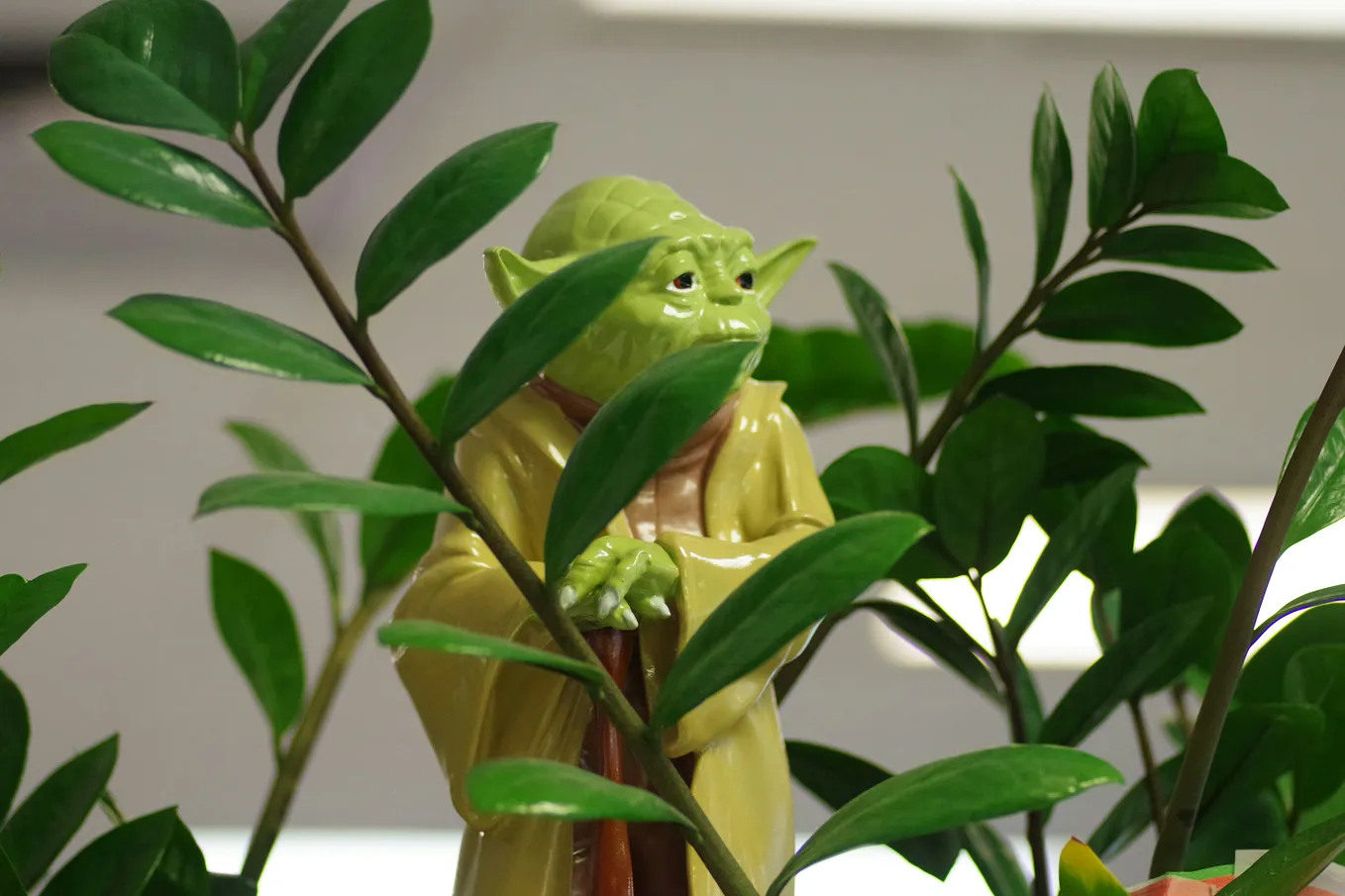 Your Growth as a Writer Depends on Emotional Risk-Taking